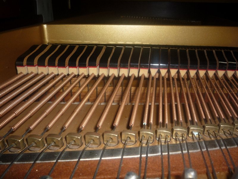 DIAPASON（ディアパソン）170H（USED）